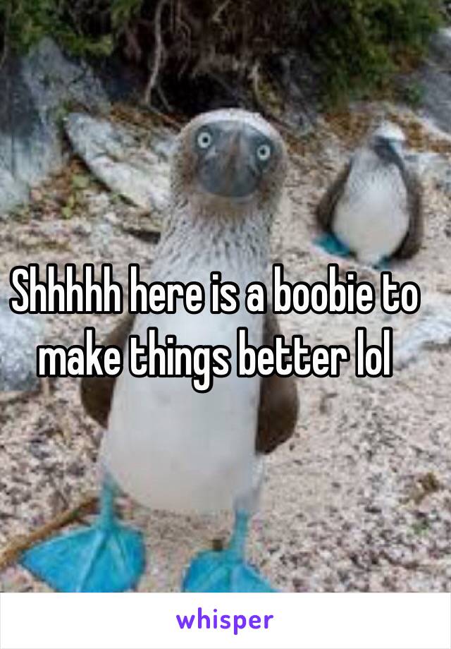 Shhhhh here is a boobie to make things better lol