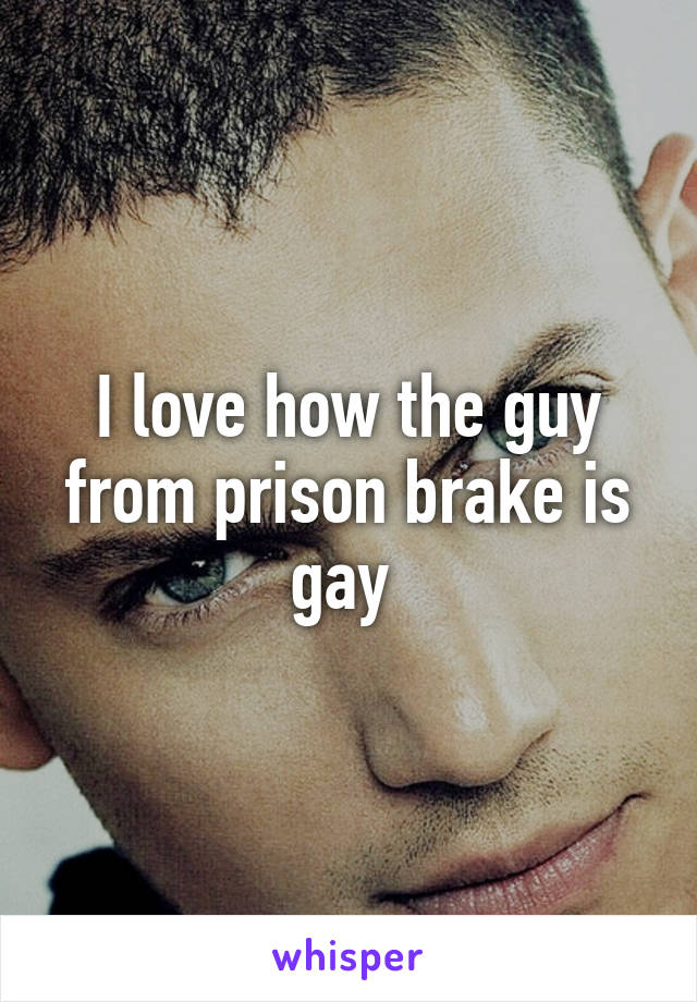 I love how the guy from prison brake is gay 