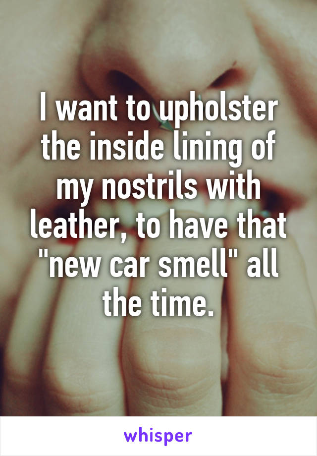 I want to upholster the inside lining of my nostrils with leather, to have that "new car smell" all the time.
