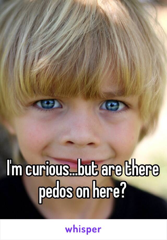 I'm curious...but are there pedos on here?
