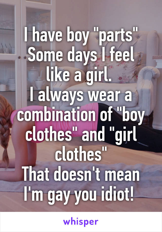 I have boy "parts"
Some days I feel like a girl. 
I always wear a combination of "boy clothes" and "girl clothes"
That doesn't mean I'm gay you idiot! 