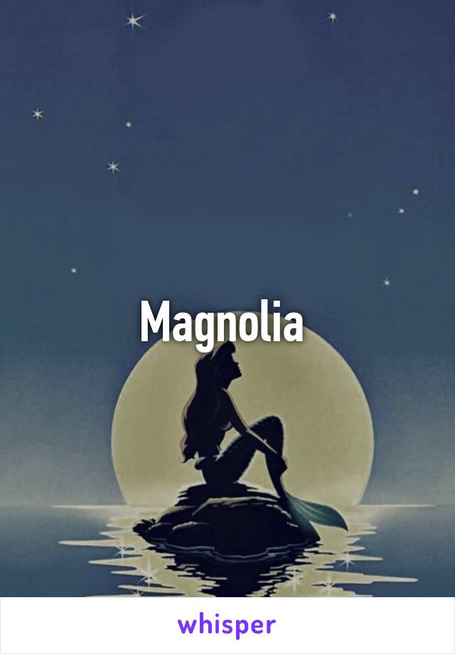 Magnolia 