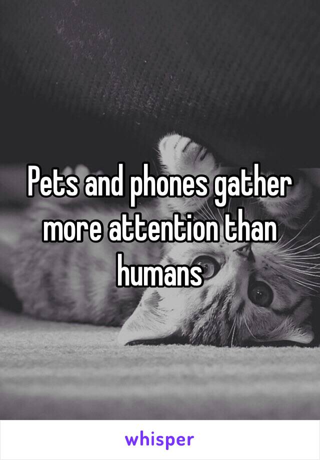 Pets and phones gather more attention than humans