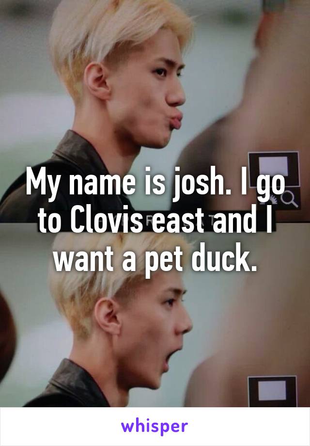 My name is josh. I go to Clovis east and I want a pet duck.