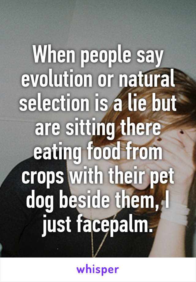 When people say evolution or natural selection is a lie but are sitting there eating food from crops with their pet dog beside them, I just facepalm.