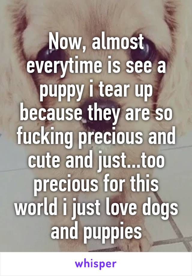 Now, almost everytime is see a puppy i tear up because they are so fucking precious and cute and just...too precious for this world i just love dogs and puppies