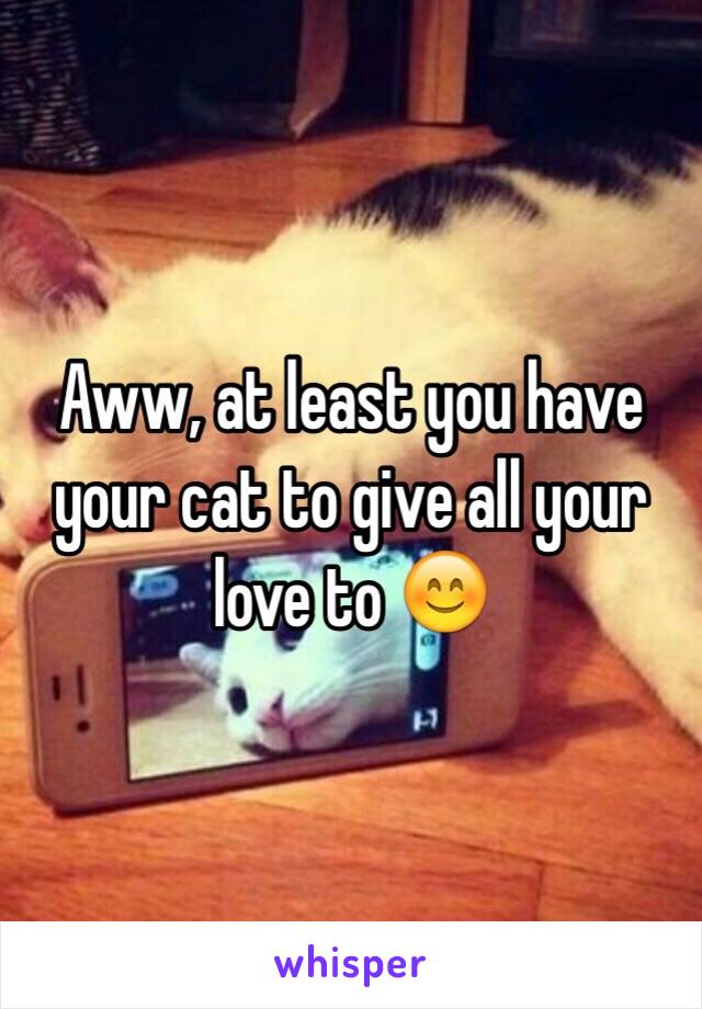 Aww, at least you have your cat to give all your love to 😊