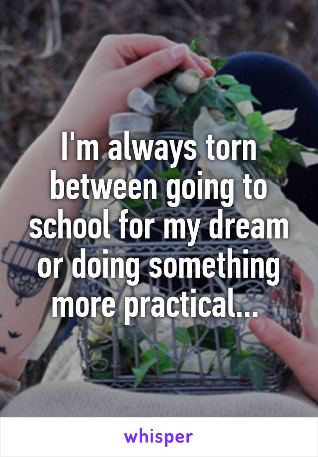 I'm always torn between going to school for my dream or doing something more practical... 