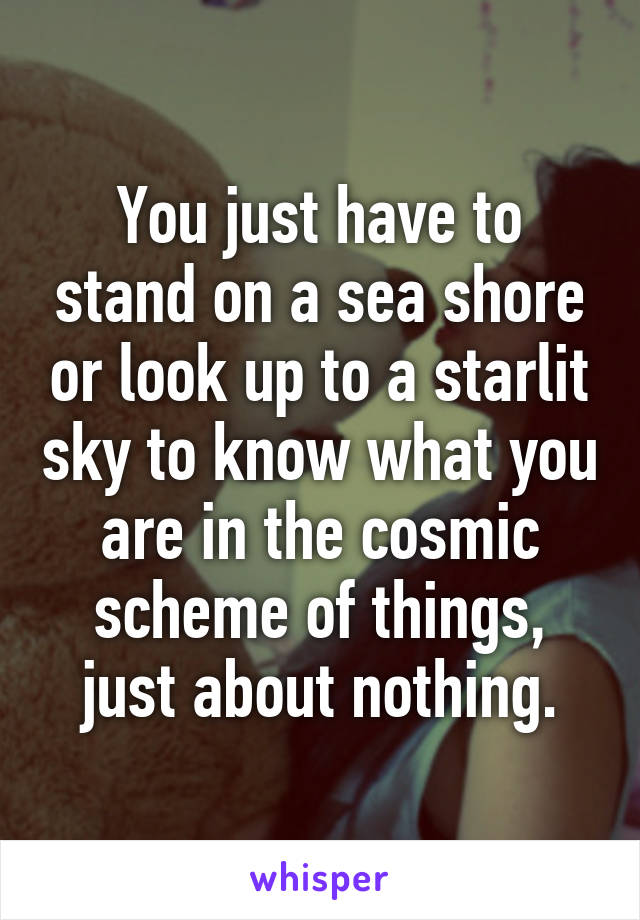 You just have to stand on a sea shore or look up to a starlit sky to know what you are in the cosmic scheme of things, just about nothing.