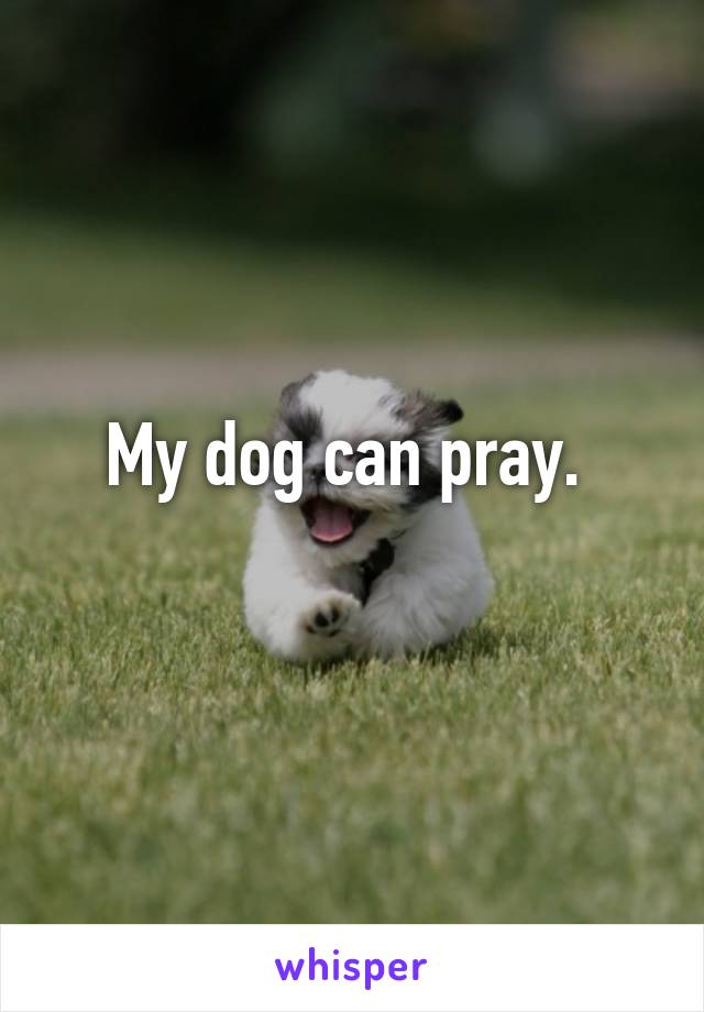 My dog can pray. 
