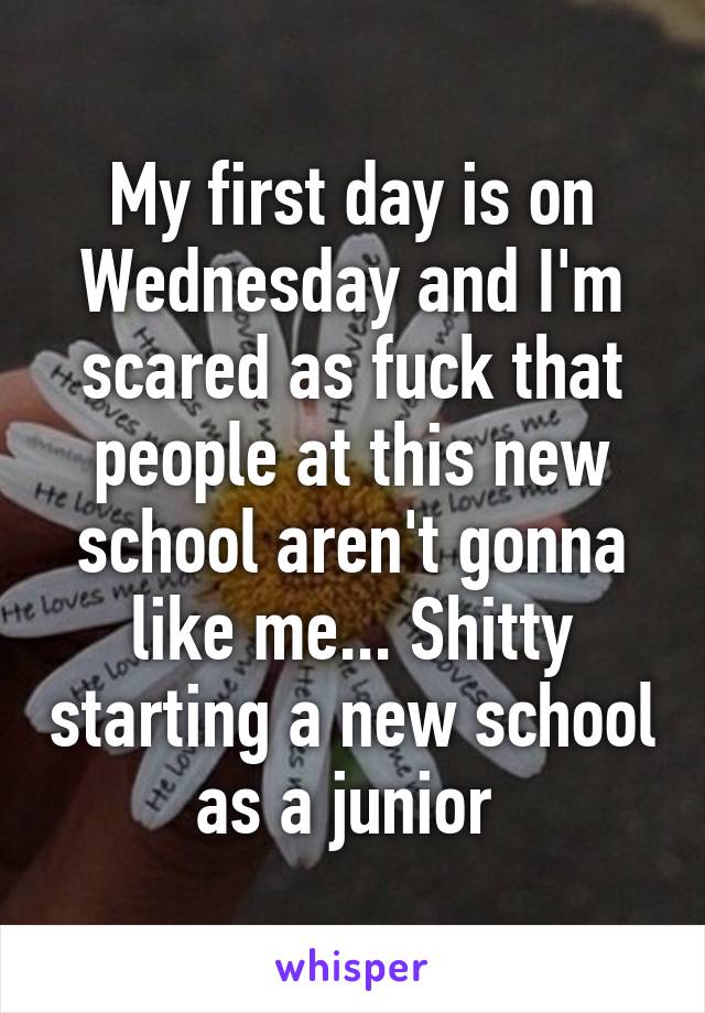 My first day is on Wednesday and I'm scared as fuck that people at this new school aren't gonna like me... Shitty starting a new school as a junior 