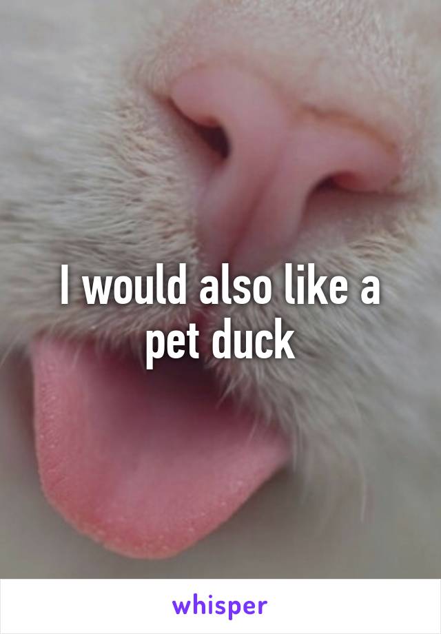 I would also like a pet duck