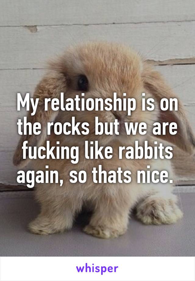 My relationship is on the rocks but we are fucking like rabbits again, so thats nice. 