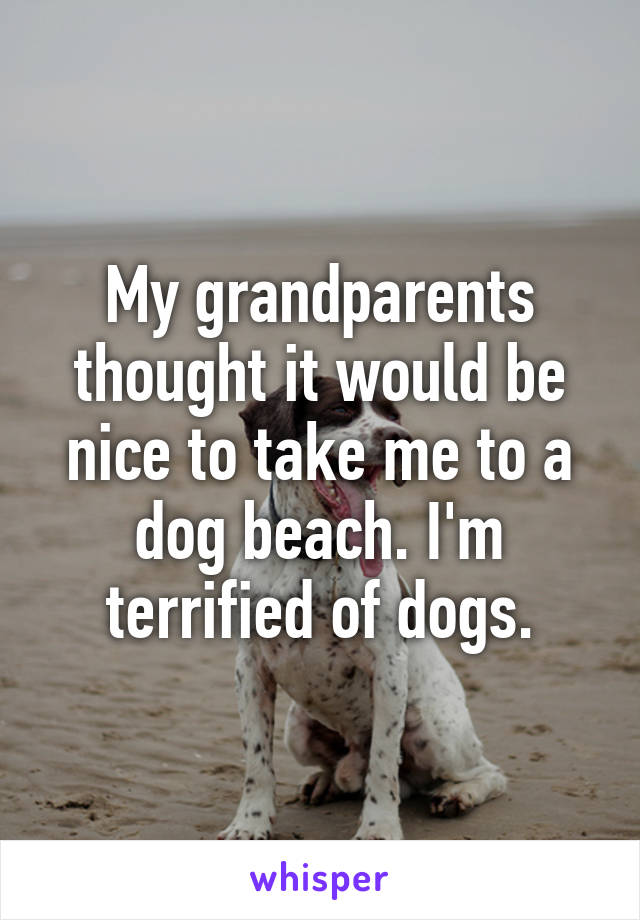 My grandparents thought it would be nice to take me to a dog beach. I'm terrified of dogs.