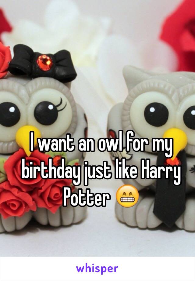 I want an owl for my birthday just like Harry Potter 😁