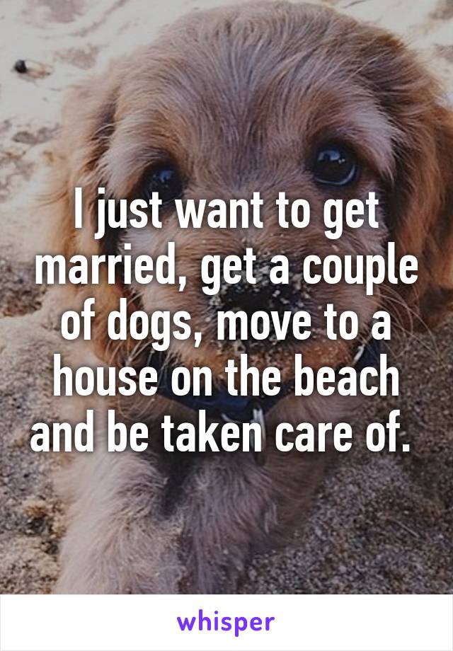 I just want to get married, get a couple of dogs, move to a house on the beach and be taken care of. 