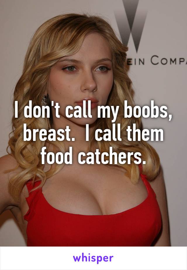 I don't call my boobs, breast.  I call them food catchers.