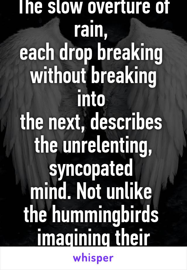 Mind
The slow overture of rain, 
each drop breaking 
without breaking into 
the next, describes 
the unrelenting, syncopated 
mind. Not unlike 
the hummingbirds 
imagining their wings 
to be their hea