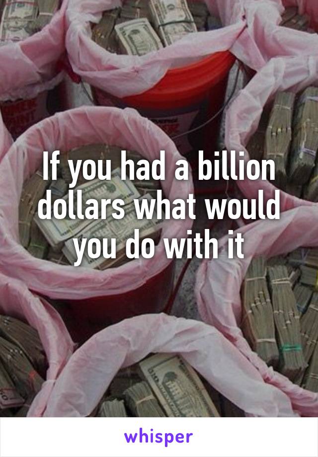 If you had a billion dollars what would you do with it
