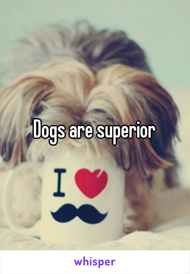 Dogs are superior