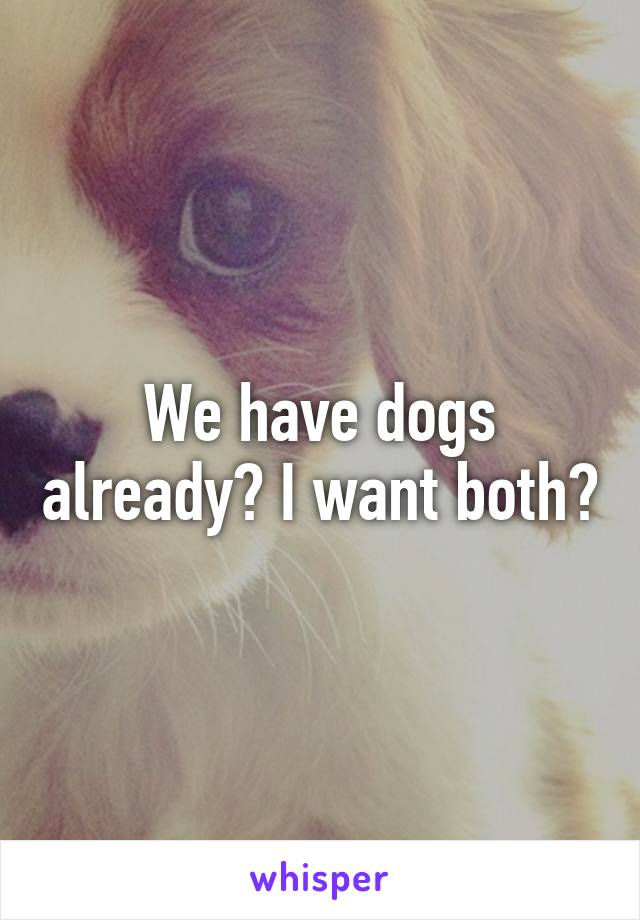 We have dogs already? I want both?