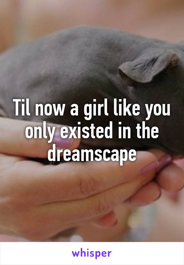 Til now a girl like you only existed in the dreamscape