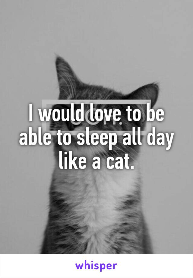 I would love to be able to sleep all day like a cat.