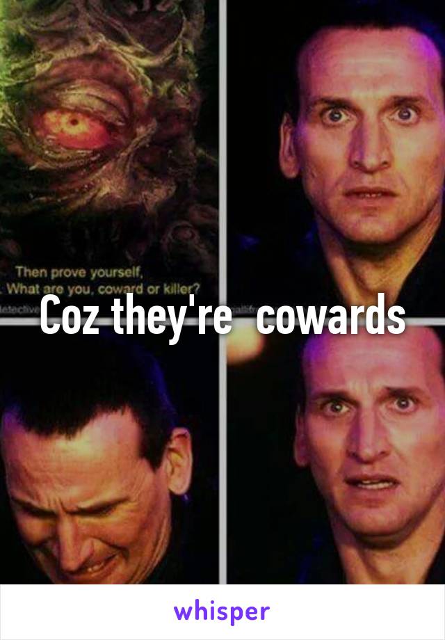 Coz they're  cowards