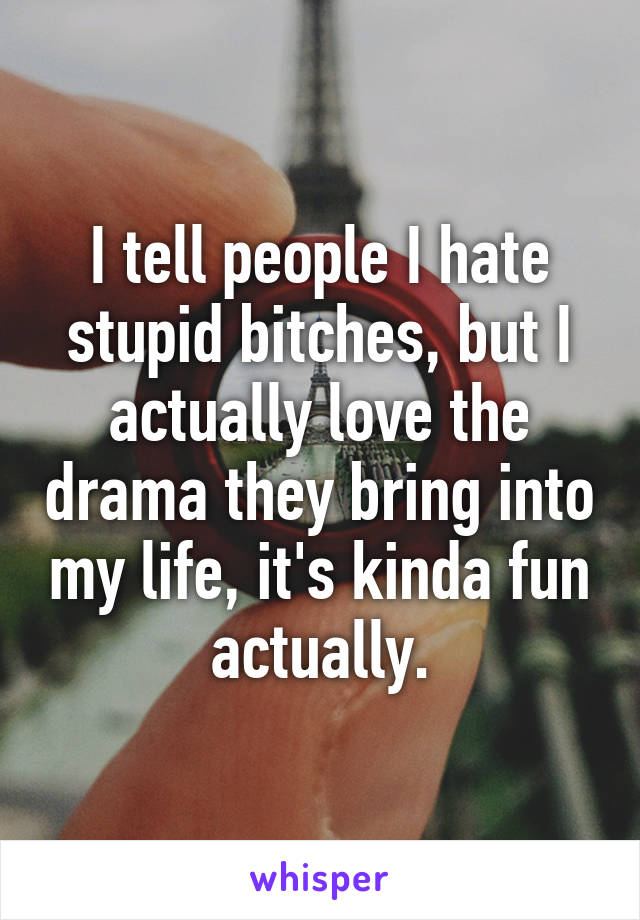 I tell people I hate stupid bitches, but I actually love the drama they bring into my life, it's kinda fun actually.