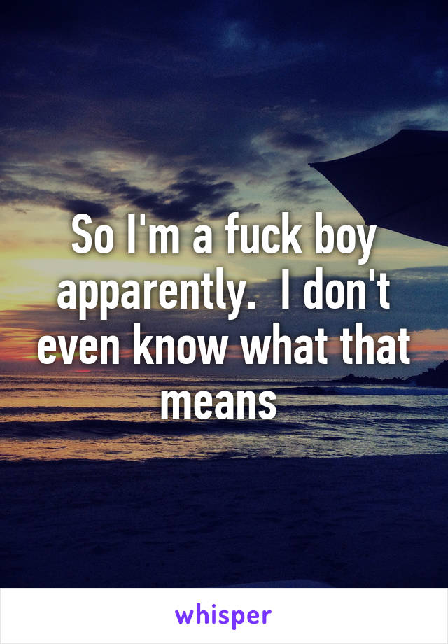 So I'm a fuck boy apparently.  I don't even know what that means 