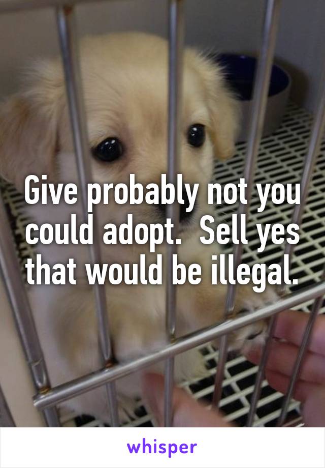 Give probably not you could adopt.  Sell yes that would be illegal.