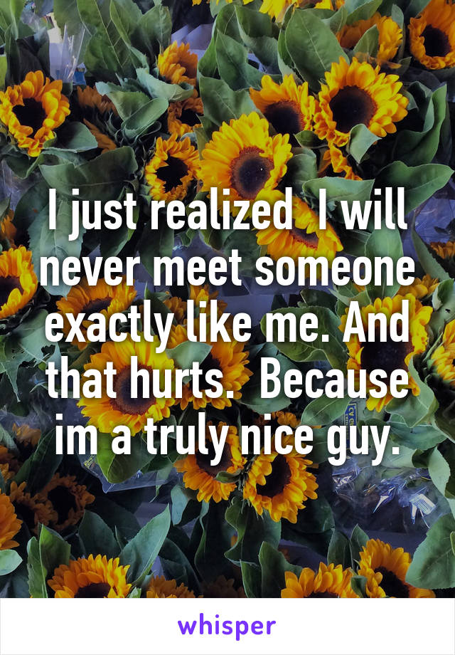 I just realized  I will never meet someone exactly like me. And that hurts.  Because im a truly nice guy.