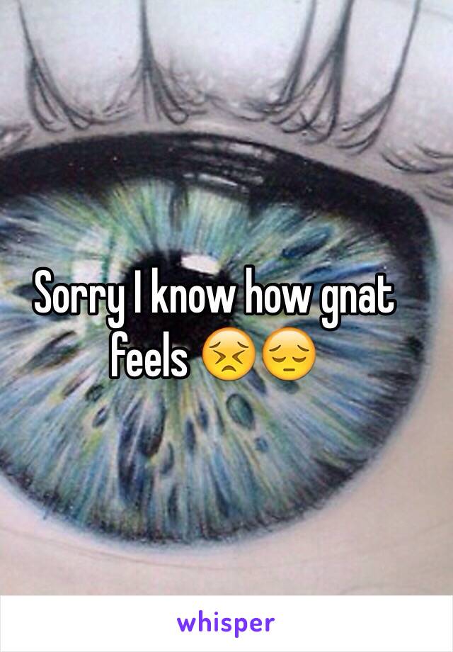 Sorry I know how gnat feels 😣😔