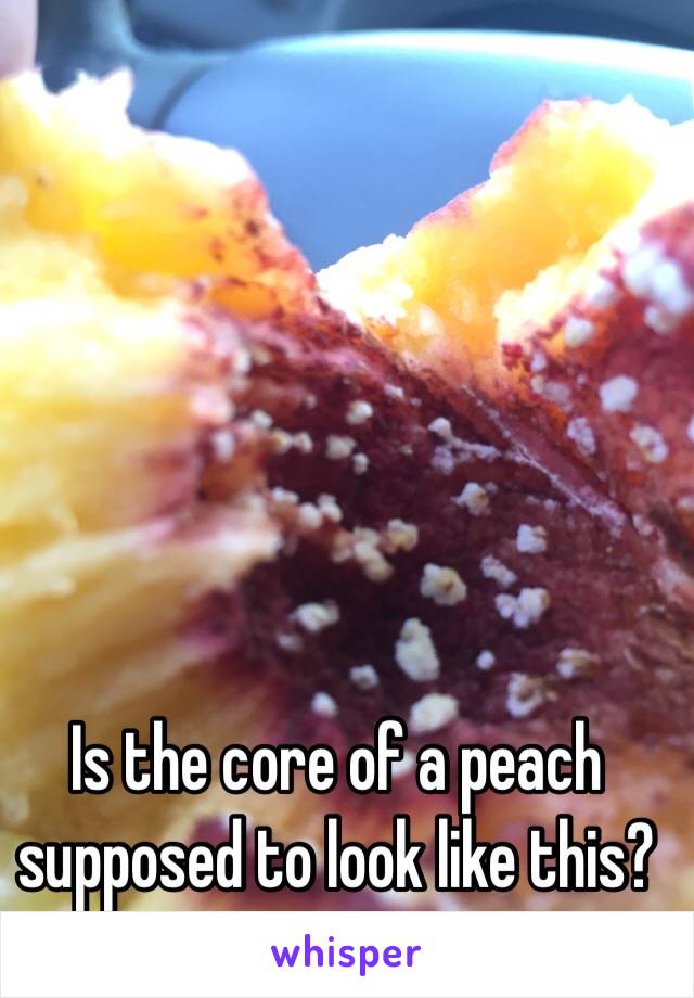 Is the core of a peach supposed to look like this?