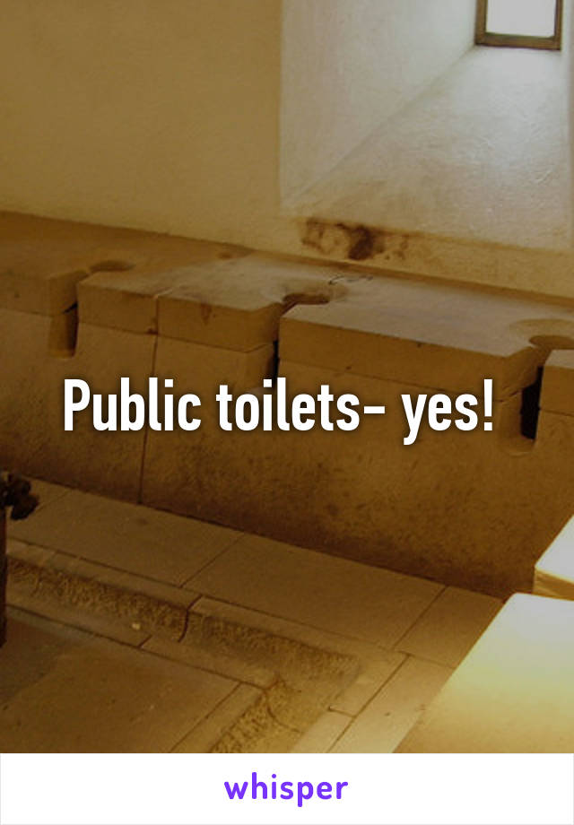 Public toilets- yes! 