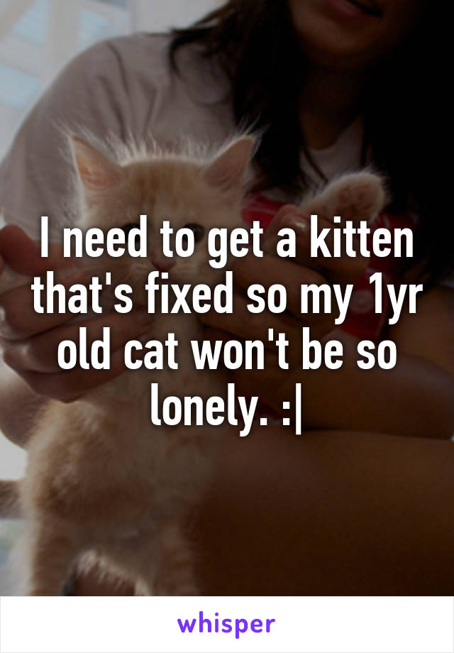 I need to get a kitten that's fixed so my 1yr old cat won't be so lonely. :|