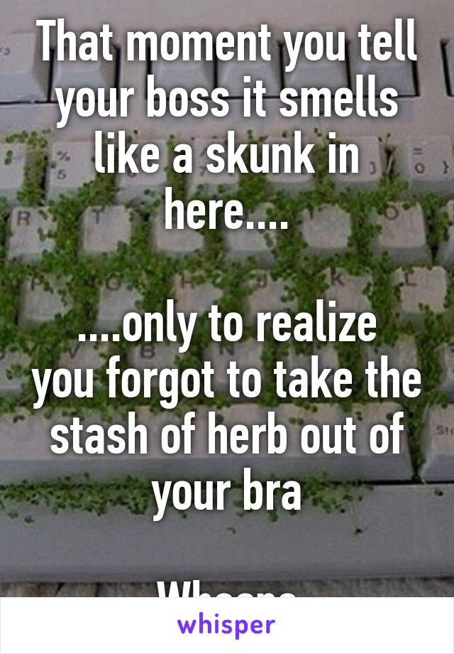 That moment you tell your boss it smells like a skunk in here....

....only to realize you forgot to take the stash of herb out of your bra

Whoops