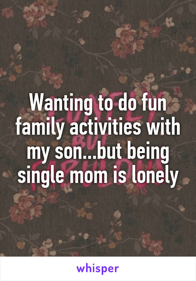 Wanting to do fun family activities with my son...but being single mom is lonely