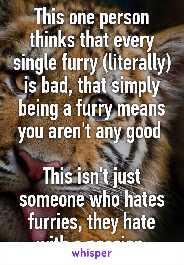 This one person thinks that every single furry (literally) is bad, that simply being a furry means you aren't any good 
 
This isn't just someone who hates furries, they hate with a passion 