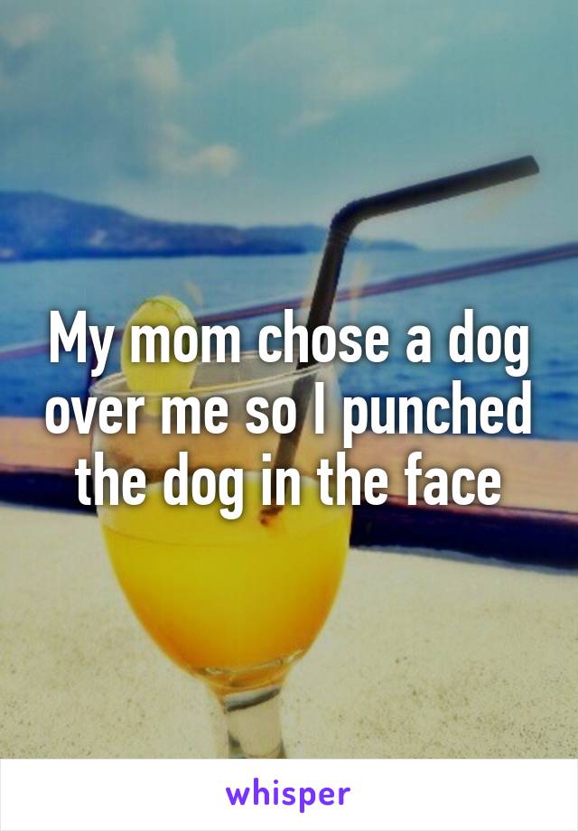 My mom chose a dog over me so I punched the dog in the face