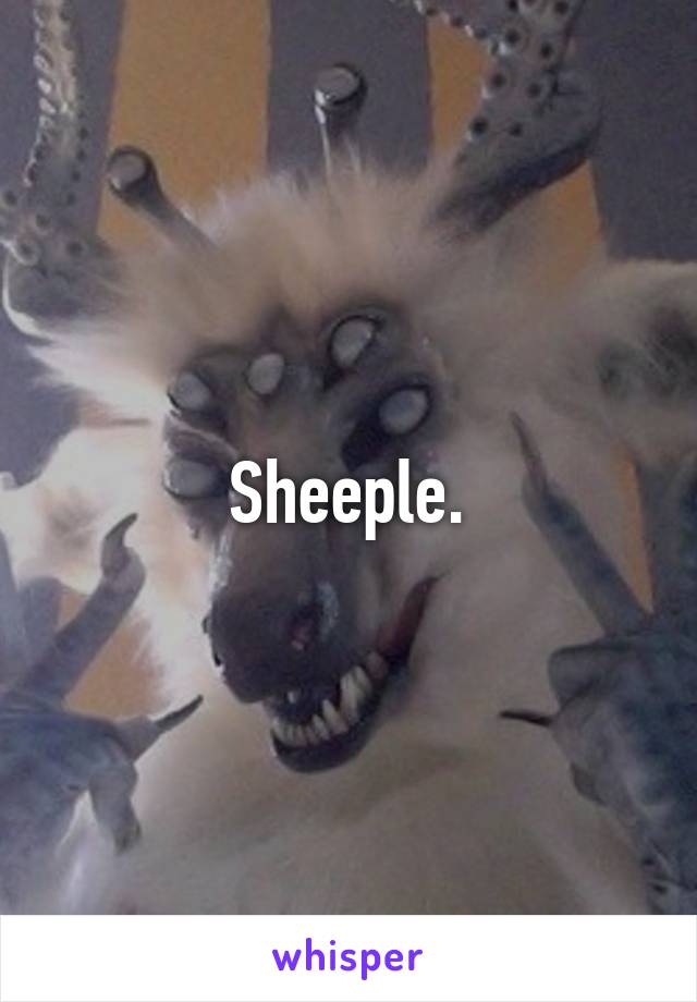 Sheeple.