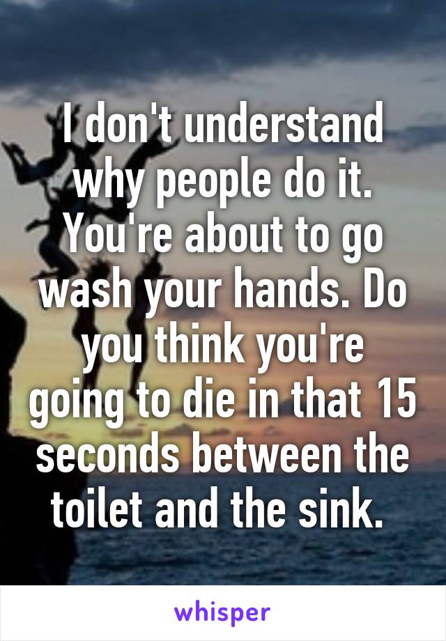 I don't understand why people do it. You're about to go wash your hands. Do you think you're going to die in that 15 seconds between the toilet and the sink. 