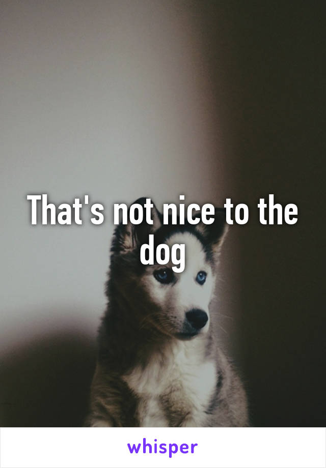 That's not nice to the dog