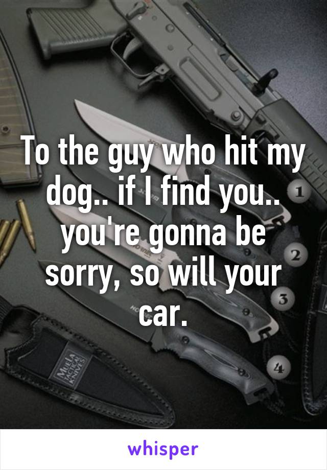 To the guy who hit my dog.. if I find you.. you're gonna be sorry, so will your car.