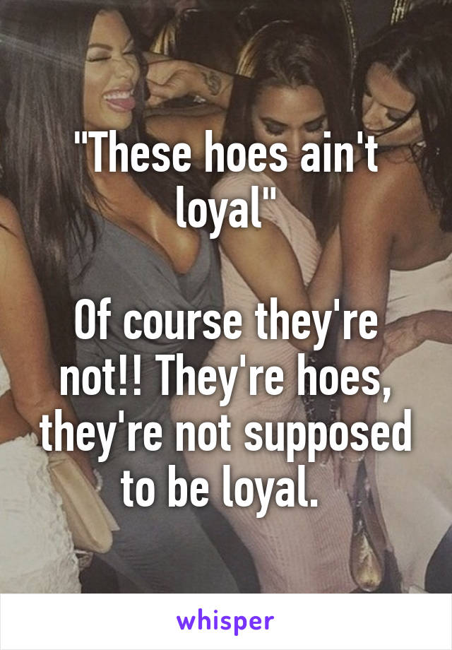 "These hoes ain't loyal"

Of course they're not!! They're hoes, they're not supposed to be loyal. 