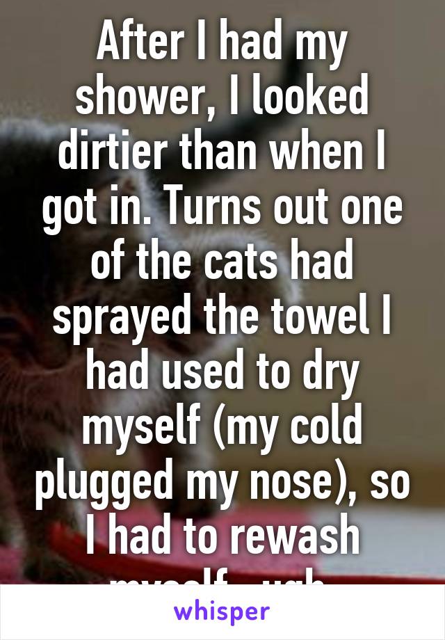 After I had my shower, I looked dirtier than when I got in. Turns out one of the cats had sprayed the towel I had used to dry myself (my cold plugged my nose), so I had to rewash myself...ugh.