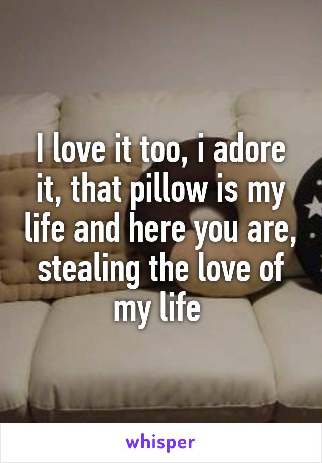 I love it too, i adore it, that pillow is my life and here you are, stealing the love of my life 