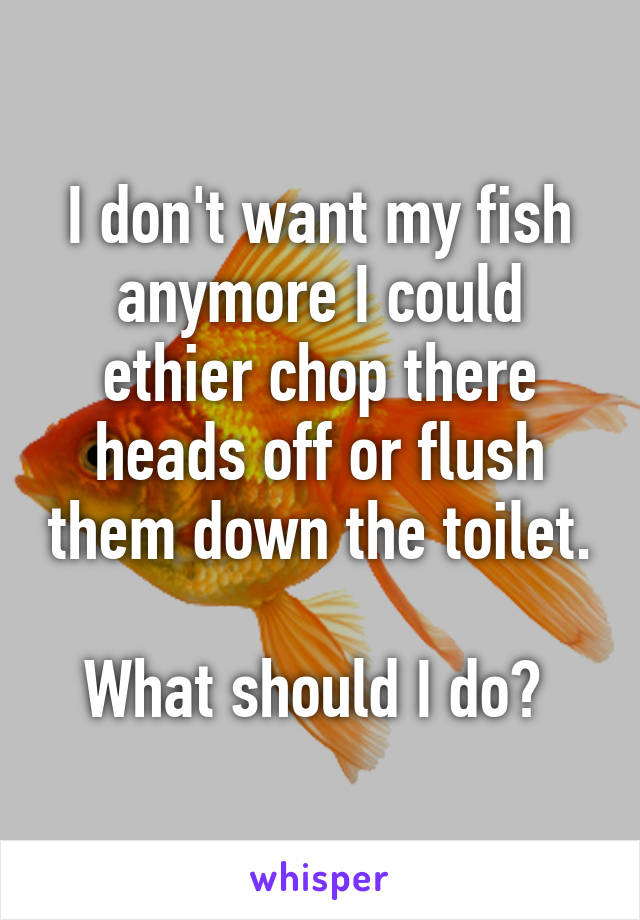 I don't want my fish anymore I could ethier chop there heads off or flush them down the toilet.

What should I do? 