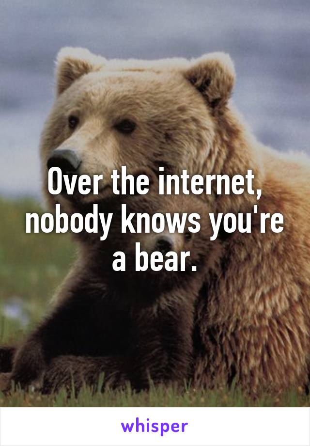 Over the internet, nobody knows you're a bear.