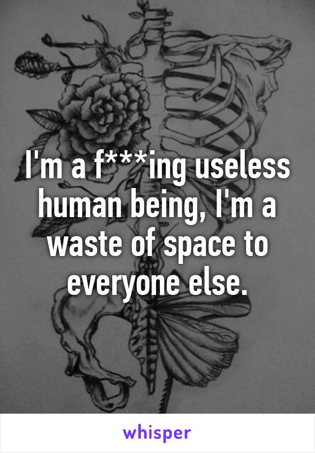 I'm a f***ing useless human being, I'm a waste of space to everyone else.